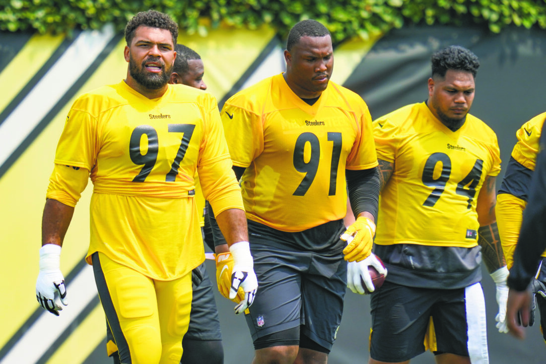 Steelers like depth with Tuitt uncertain News, Sports, Jobs The